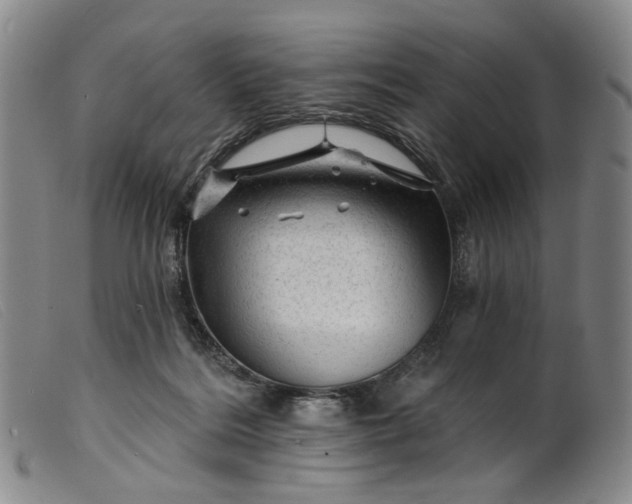 X0000099450220200805231750