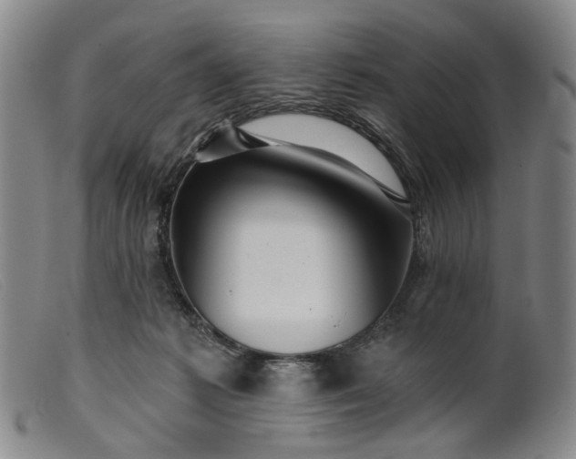 X0000099450221200805231749