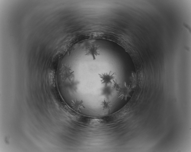 X0000099450222200805231749