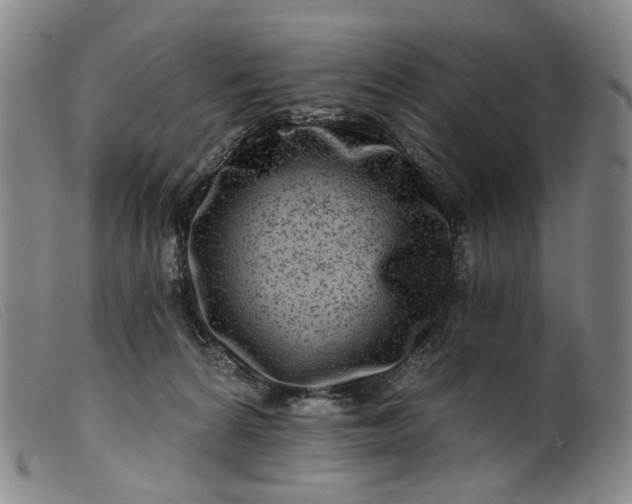 X0000099450224200805231749