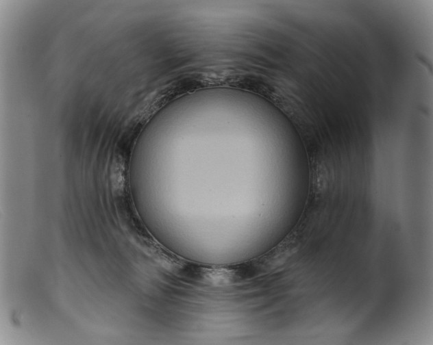 X0000099450226200805231749