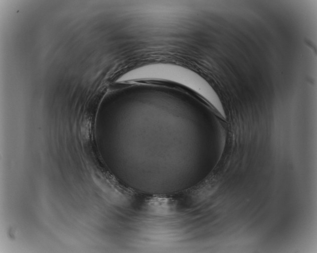 X0000099450227200805231749