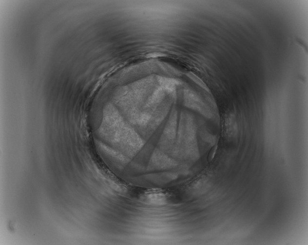 X0000099450228200805231749