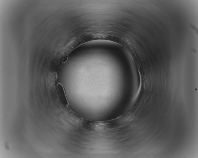 X0000099450229200805231749