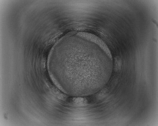 X0000099450230200805231749