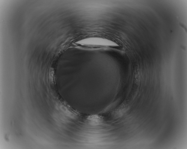 X0000099450231200805231749