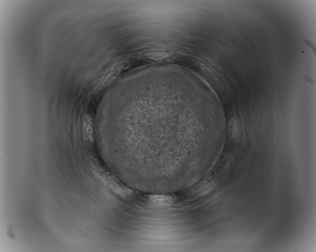 X0000099450234200805231749