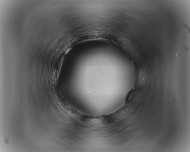 X0000099450236200805231749