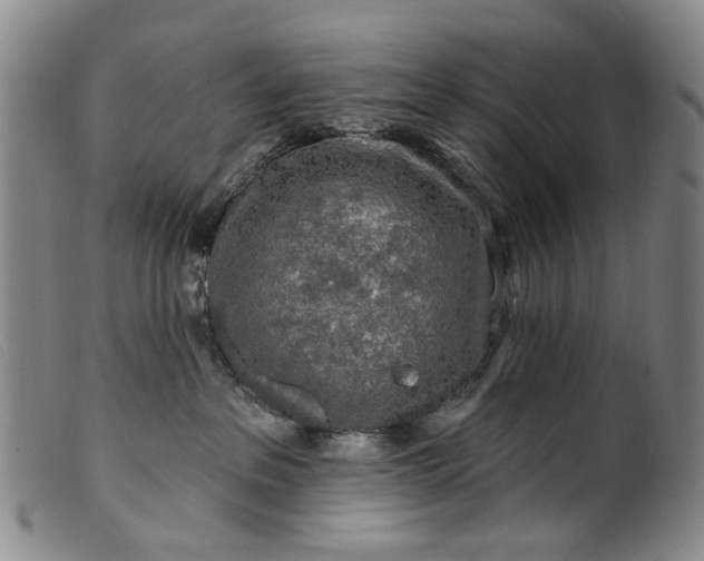 X0000099450237200805231749