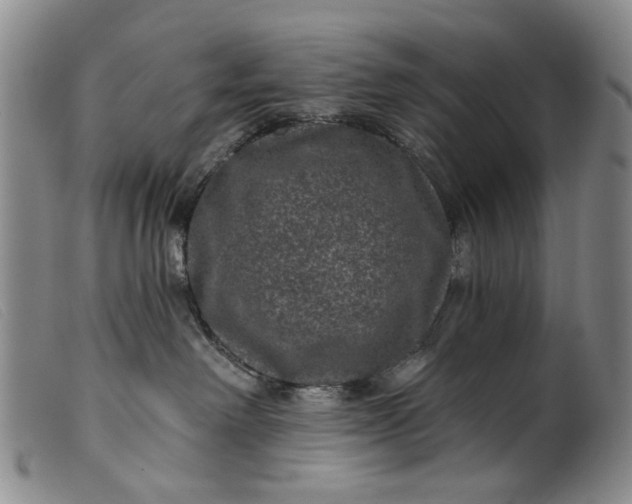 X0000099450238200805231749