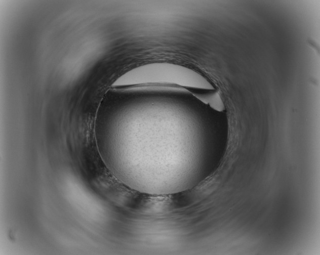 X0000099450240200805231749