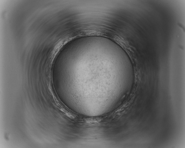 X0000099450241200805231748