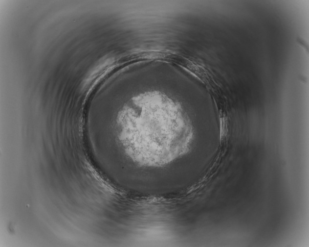 X0000099450243200805231748