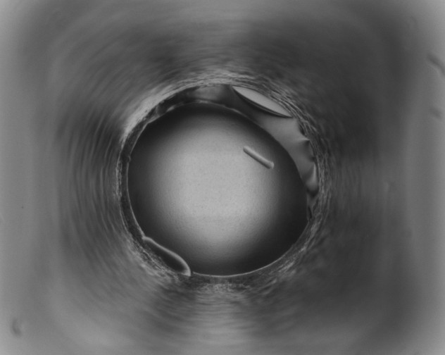 X0000099450244200805231748