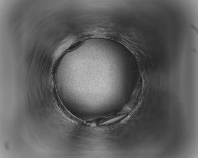 X0000099450245200805231748