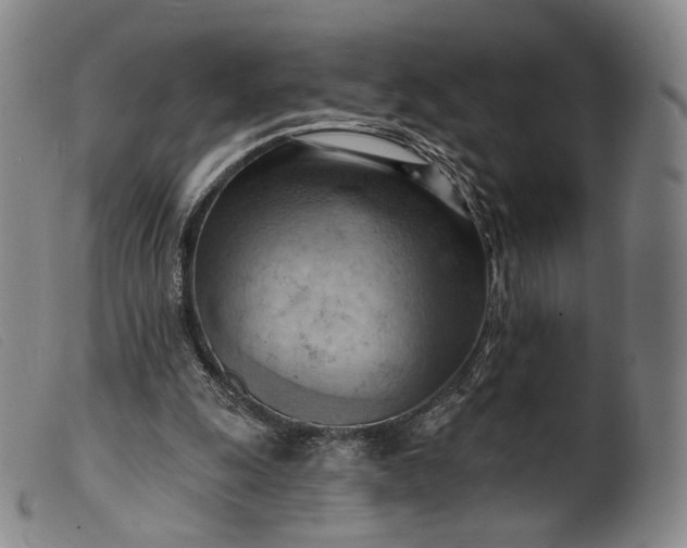 X0000099450247200805231748