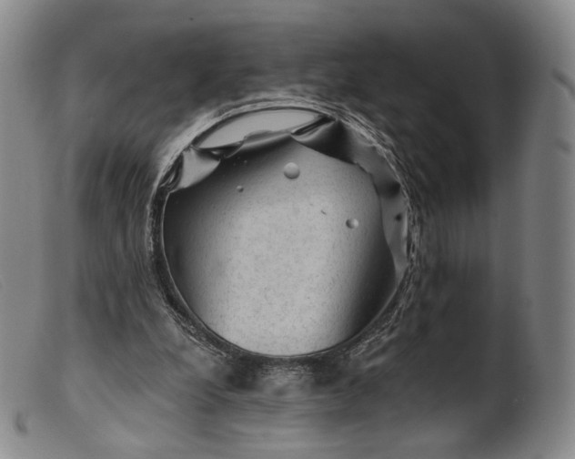 X0000099450248200805231748