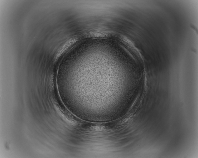 X0000099450250200805231748