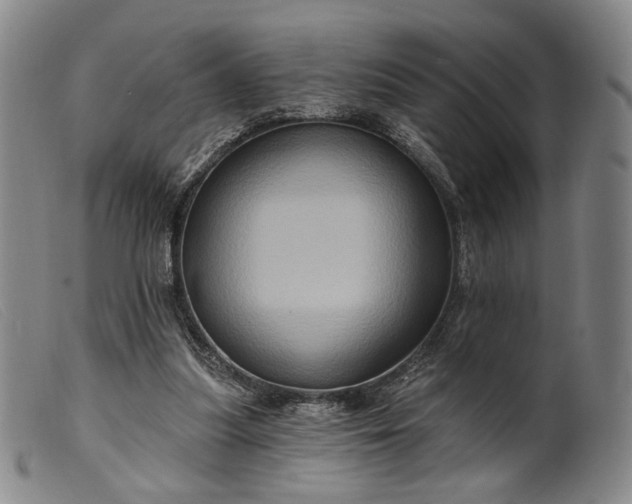 X0000099450251200805231748