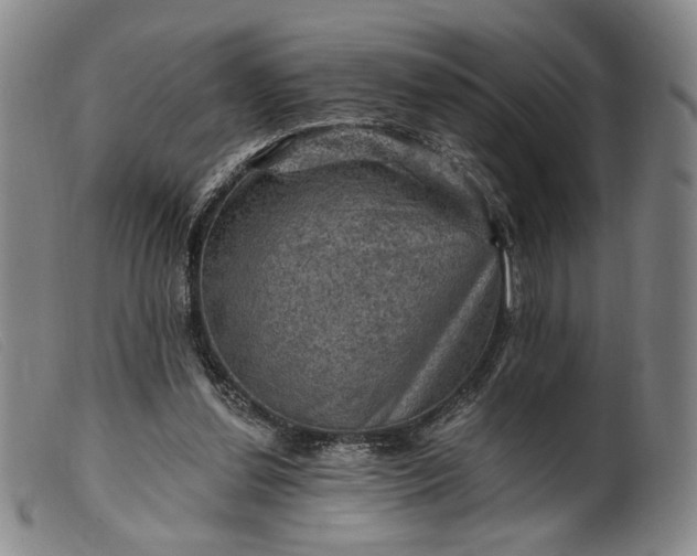 X0000099450252200805231748