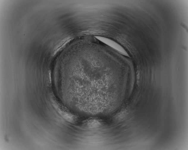 X0000099450254200805231748