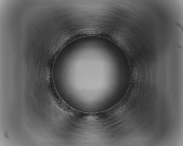 X0000099450255200805231748