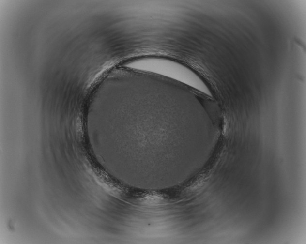 X0000099450256200805231748