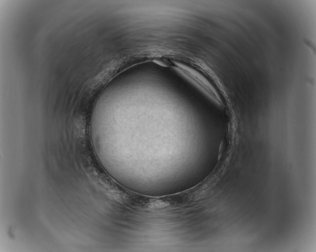 X0000099450257200805231749