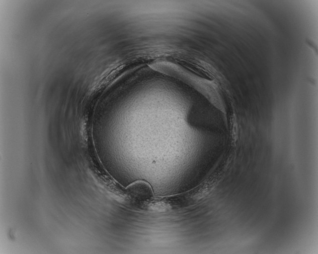 X0000099450258200805231749