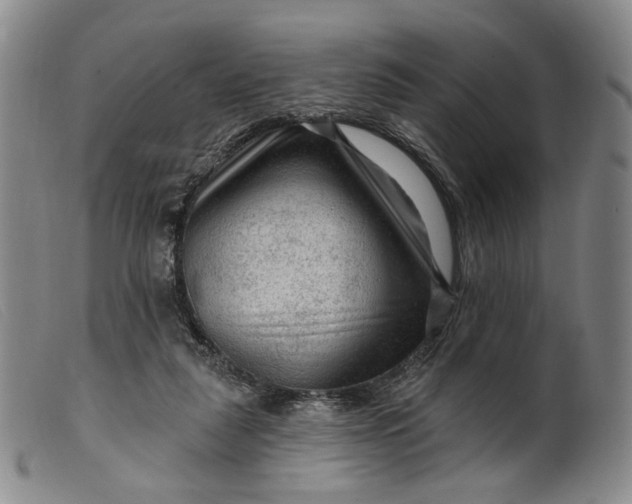 X0000099450259200805231749