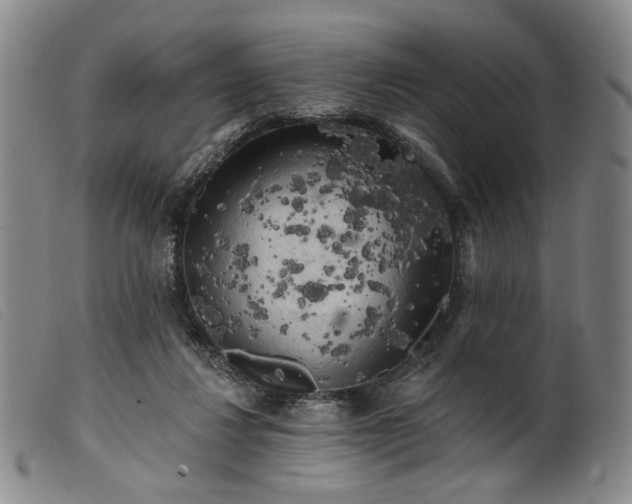 X0000099450260200805231749