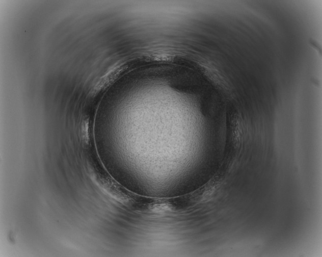 X0000099450262200805231749