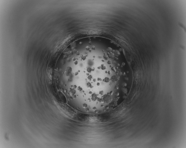 X0000099450264200805231749