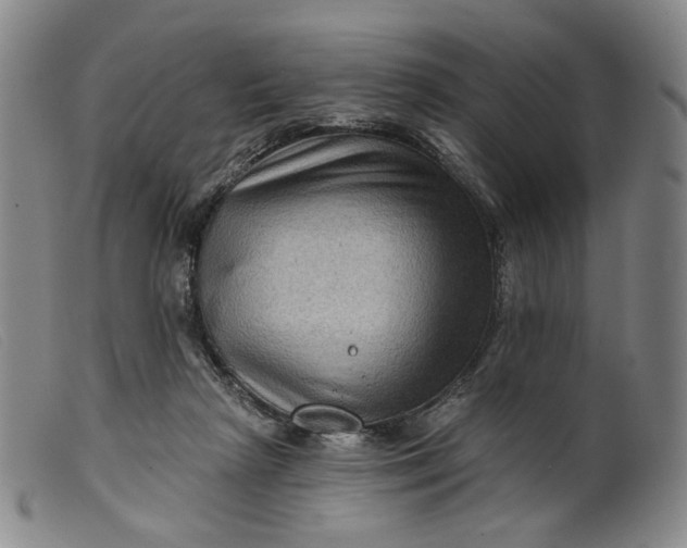 X0000099450265200805231749