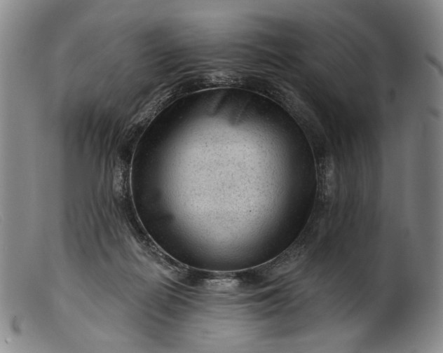 X0000099450266200805231749