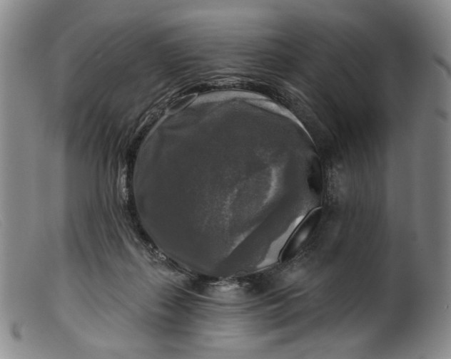 X0000099450267200805231749