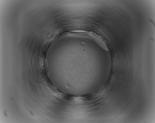 X0000099450268200805231749