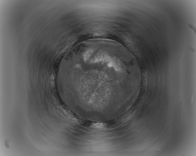 X0000099450269200805231749