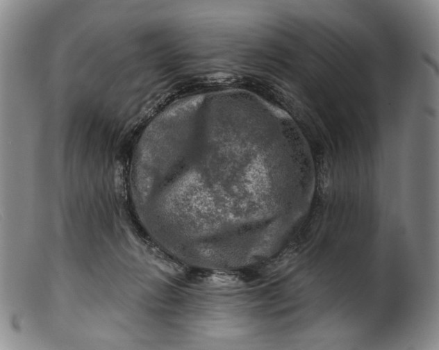 X0000099450270200805231749