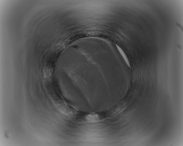 X0000099450271200805231749