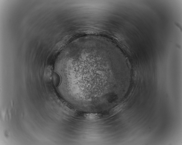 X0000099450273200805231749