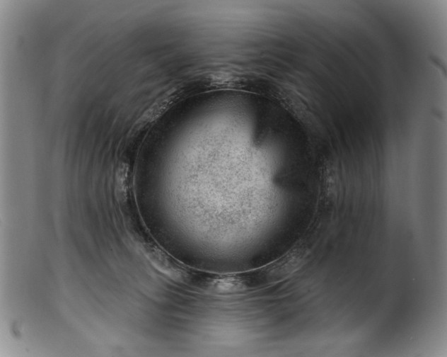 X0000099450275200805231749