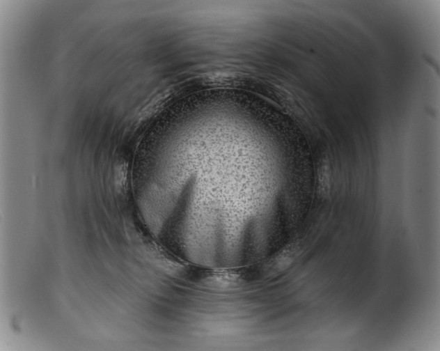 X0000099450278200805231749