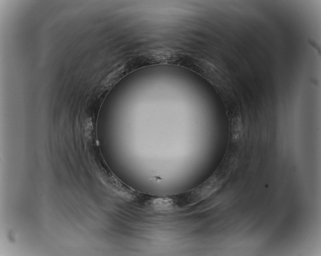 X0000099450279200805231749