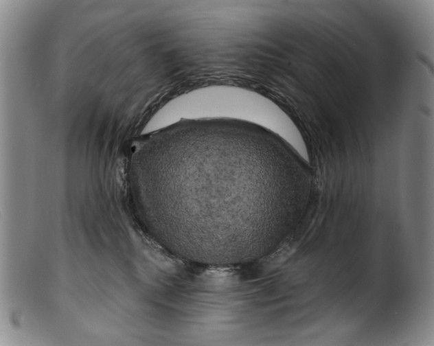 X0000099450280200805231749