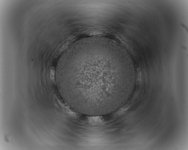 X0000099450281200805231749