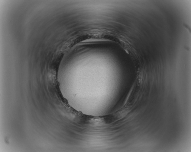 X0000099450283200805231749