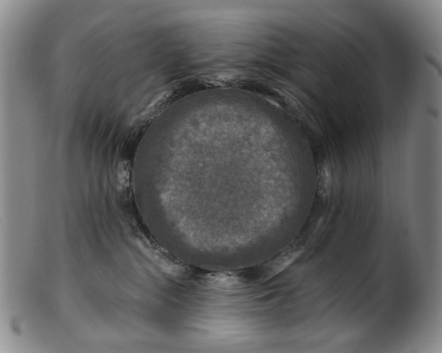 X0000099450284200805231749