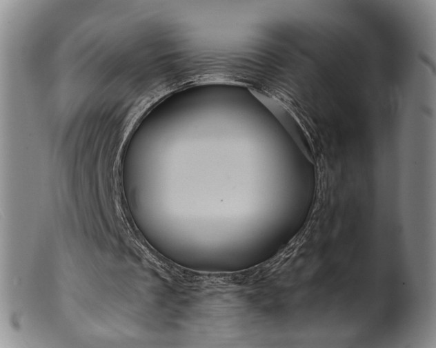 X0000099450289200805231748