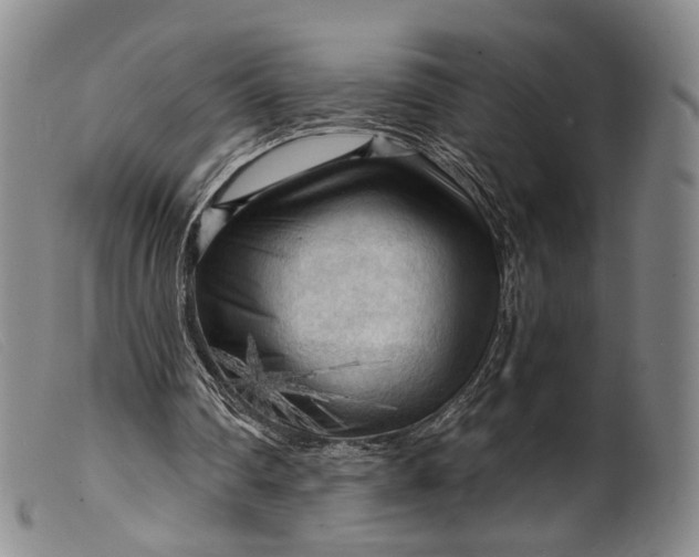 X0000099450290200805231748